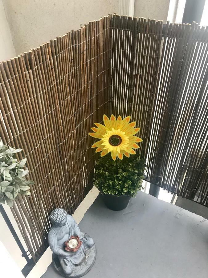 City Centre Georgian Apartment Dublin Exterior foto